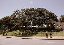 The Grassy Knoll